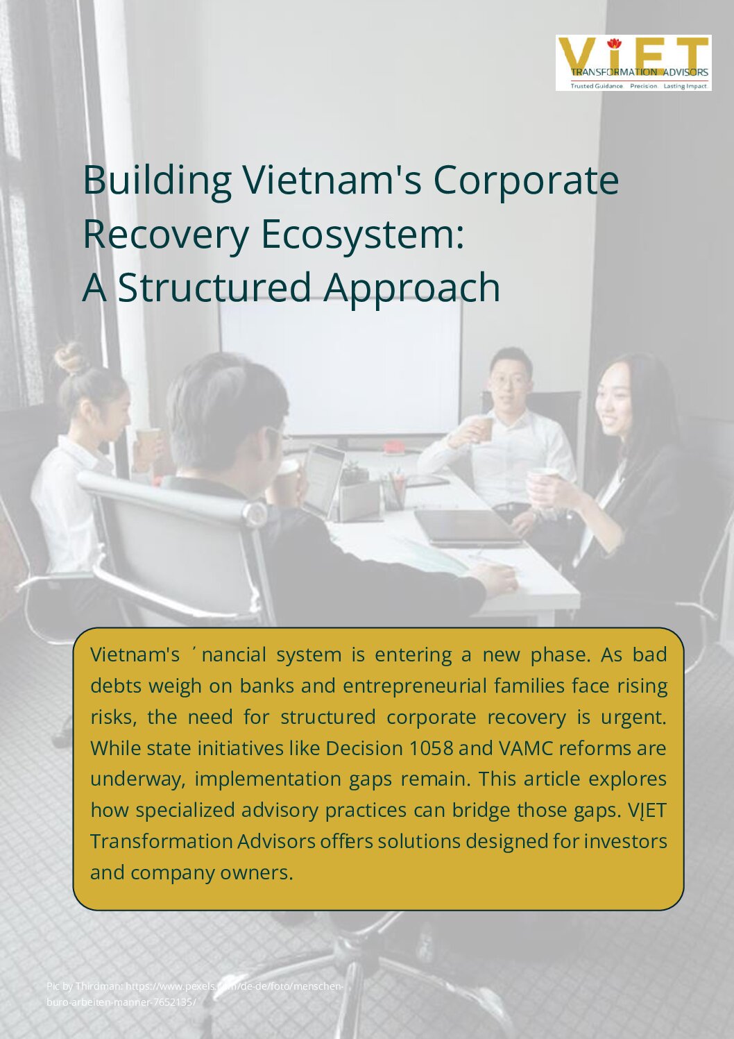Building Vietnam’s Corporate Recovery Ecosystem
