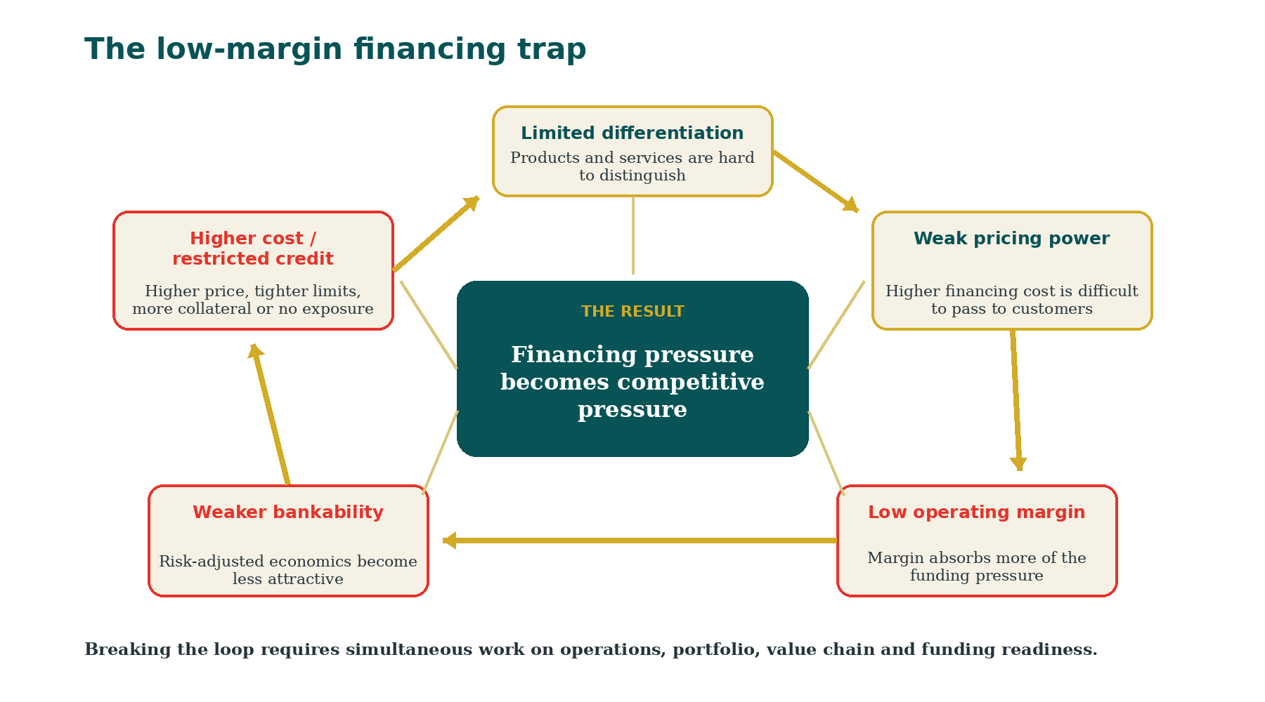 03_Low_Margin_Financing_Trap