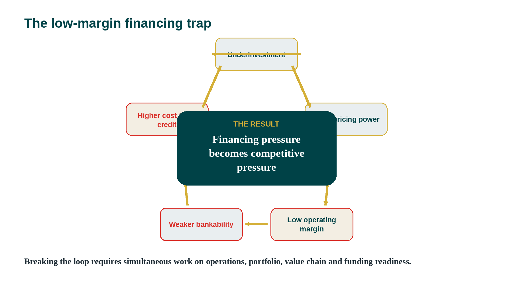 03_Low_Margin_Financing_Trap